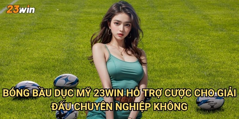 Bóng bầu dục Mỹ 23win có những giải và cách cược ra sao? 2 Bóng bầu dục Mỹ 23win hỗ trợ cược cho giải đấu chuyên nghiệp không?