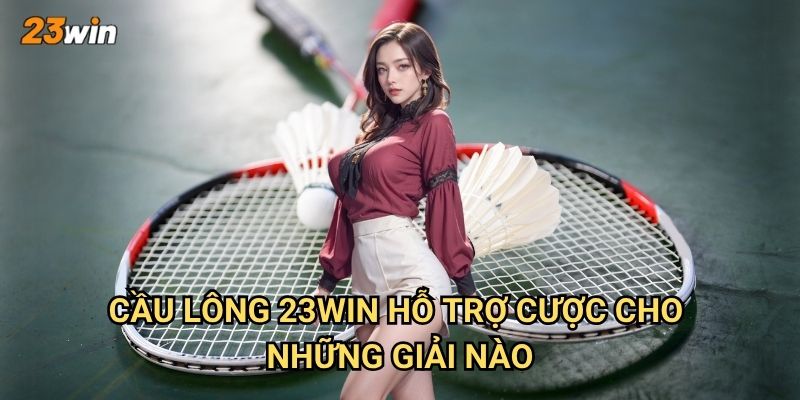 Cầu lông 23win có những giải đấu và tỷ lệ cược ra sao? 2 Cầu lông 23win hỗ trợ cược cho những giải nào?